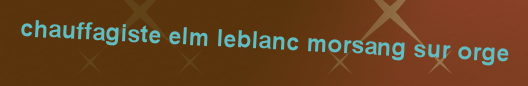Chauffagiste Elm Leblanc Morsang sur orge