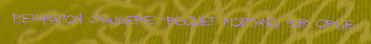 Reparation chaudiere Frisquet Morsang sur orge